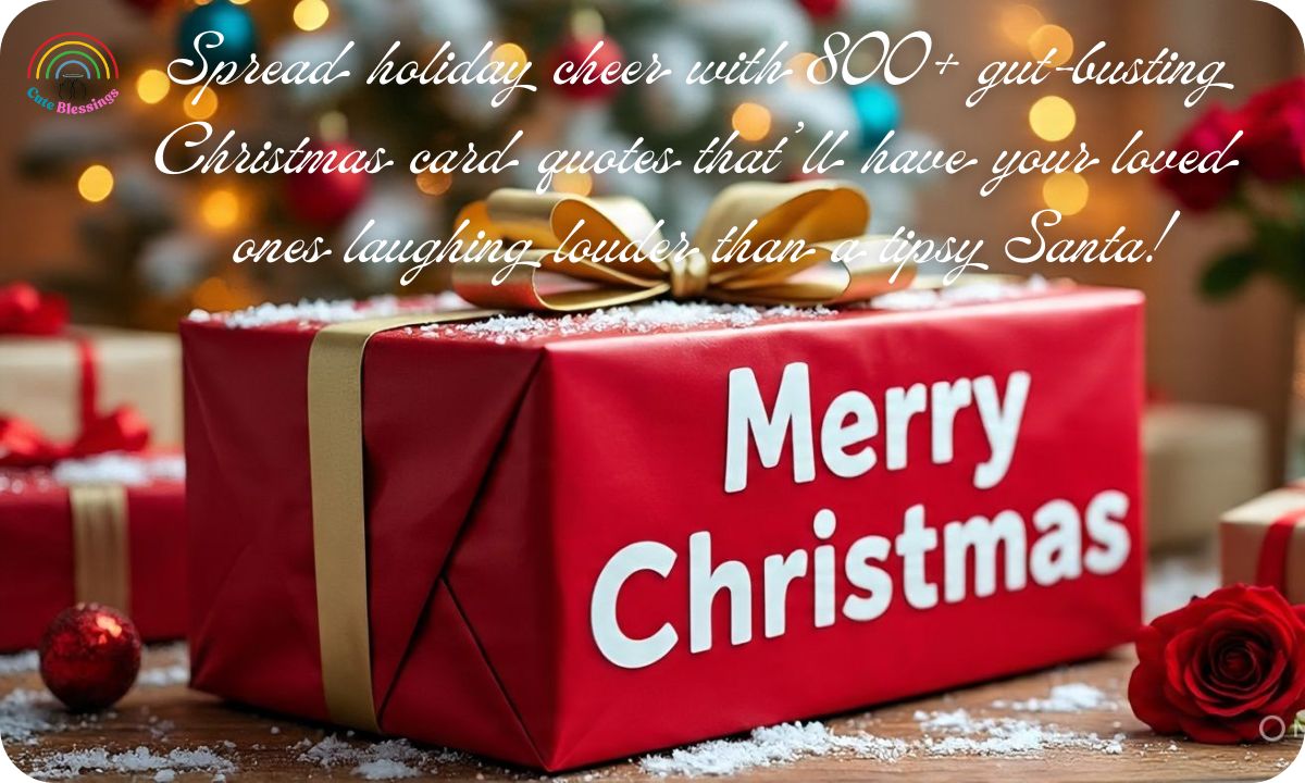 800+ Funny Christmas Card Quotes to Make Your Loved Ones Laugh
