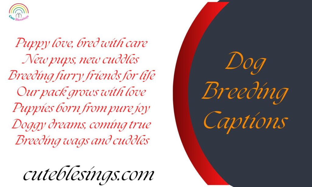 Dog Breeding Captions
